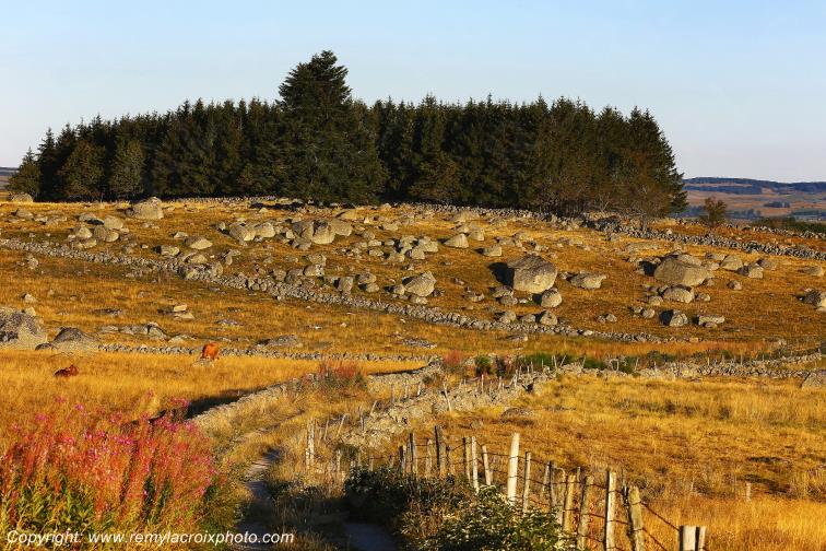Rieutort d'Aubrac Loz�re Languedoc-Roussillon Occitanie France www.remylacroixphoto.com