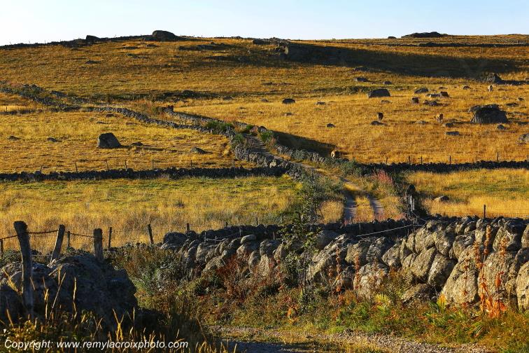 Rieutort d'Aubrac Loz�re Languedoc-Roussillon Occitanie France www.remylacroixphoto.com
