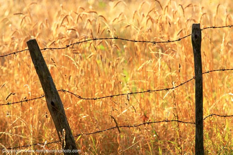 Champagne Berrichonne Cher Berry Centre Val de Loire France
