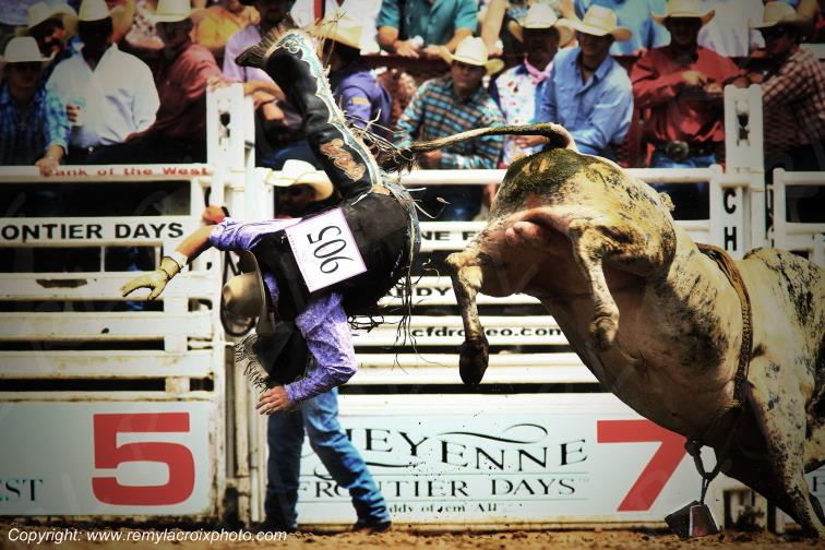 Rodeo Cheyenne Frontier Days bull-riding Wyoming USA www.remylacroixphoto.com