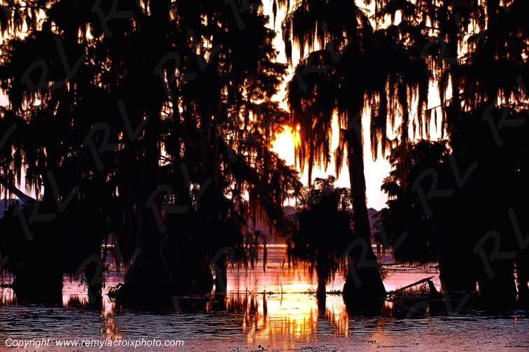 Martin Lake Bayou Cajun Louisiane USA www.remylacroixphoto.com