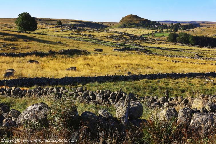 Rieutort d'Aubrac Loz�re Languedoc-Roussillon Occitanie France www.remylacroixphoto.com