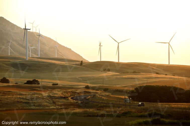 Eoliennes vers Maryhill,Washington,USA