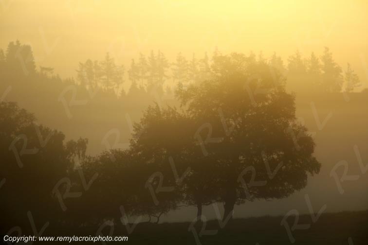 Tourbi�re du Long�roux plateau de Millevaches Corr�ze Limousin France