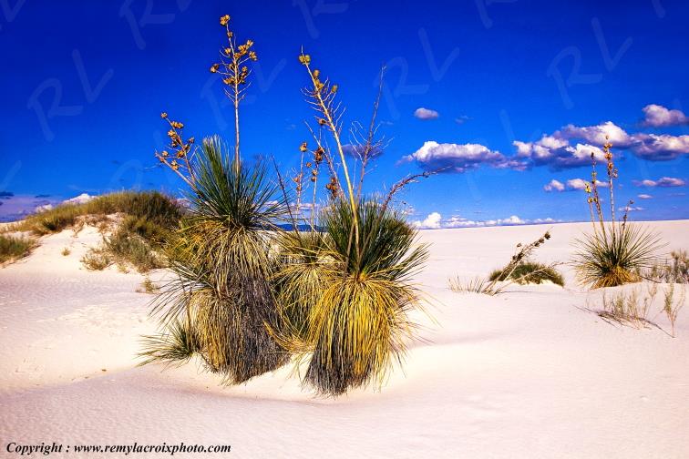 White Sands National Monument New-Mexico USA www.remylacroixphoto.com