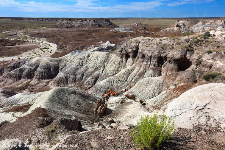 Blue Mesa Petrified Forest National Park Arizona USA