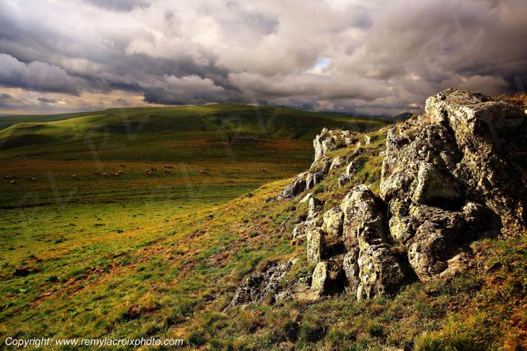 C�zallier col de Fortunier Cantal Auvergne Rh�ne-Alpes France www.remylacroixphoto.com
