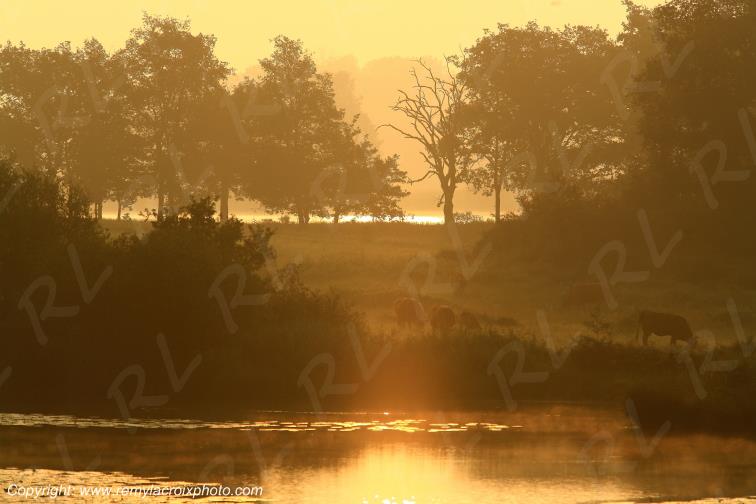 Etang du Coudray parc naturel r�gional de la Brenne Indre Berry Centre Val de Loire France