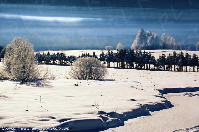 Bois d'Amont Jura Bourgogne Franche Comt� France www.remylacroixphoto.com