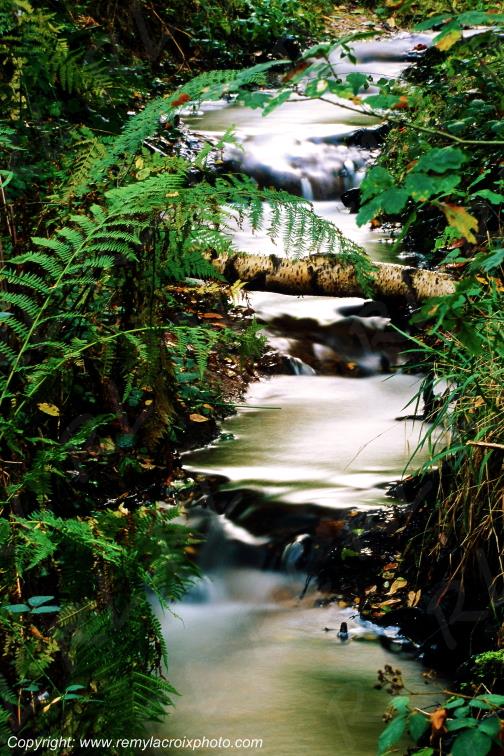 Site du Val Sans Retour ruisseau de Rauco for�t de Paimpont Morbihan Bretagne France