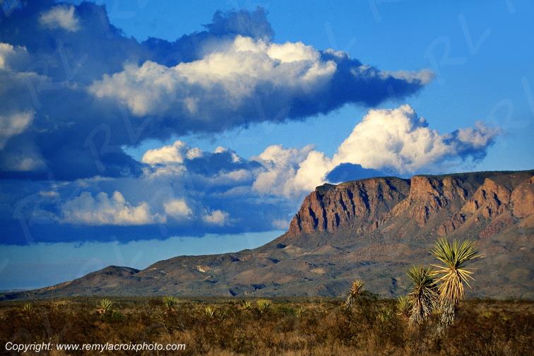 Big Bend National Park Texas USA www.remylacroixphoto.com