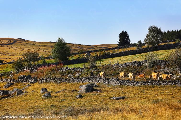 Rieutort d'Aubrac Loz�re Languedoc-Roussillon Occitanie France www.remylacroixphoto.com