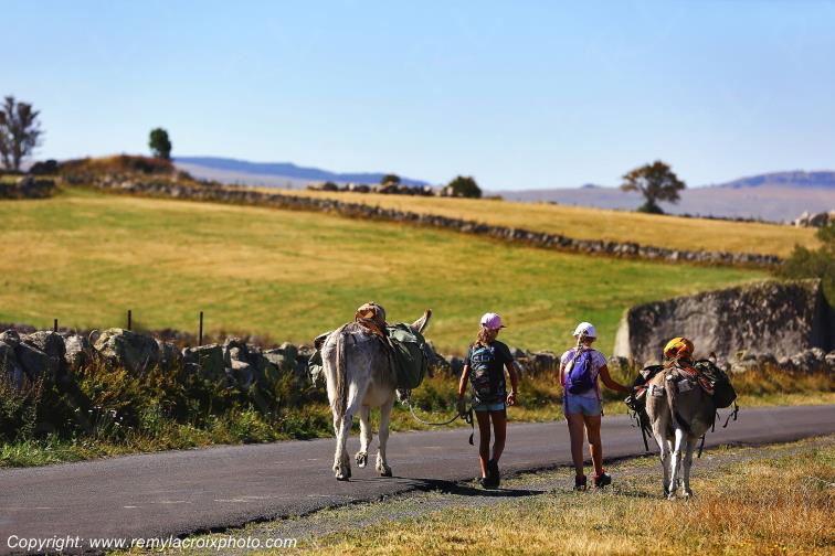 Rieutort d'Aubrac Loz�re Languedoc-Roussillon Occitanie France www.remylacroixphoto.com