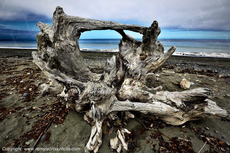 Dungeness Wildlife refuge Washington USA www.remylacroixphoto.com