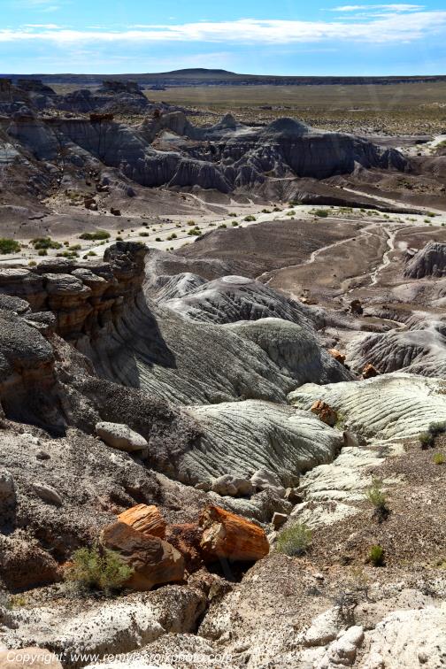 Blue Mesa Petrified Forest National Park Arizona USA