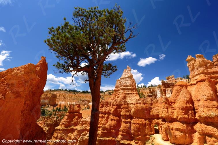 Queen Garden Trail Bryce Canyon National Park Utah USA
