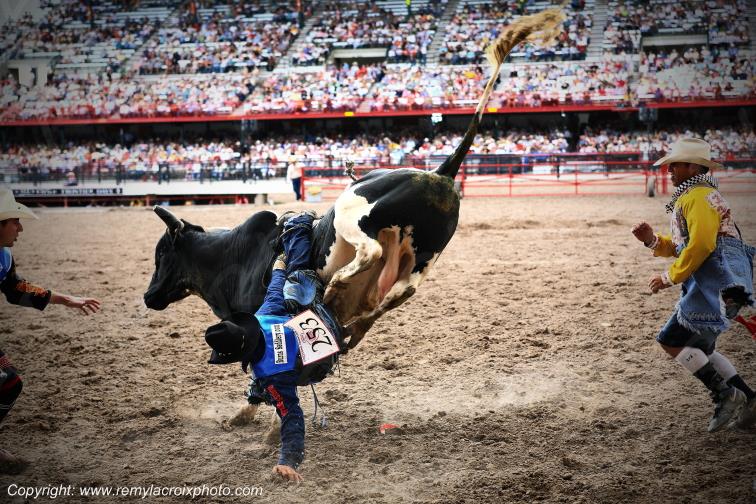 Rodeo Cheyenne Frontier Days bull-riding Wyoming USA www.remylacroixphoto.com