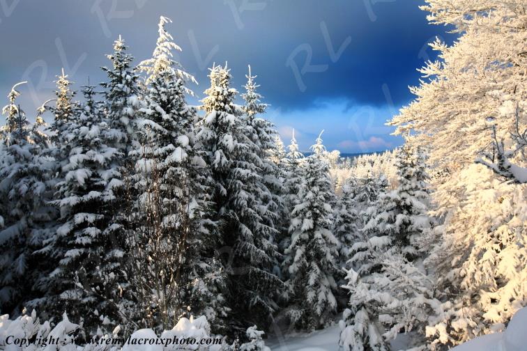 La Loge des Gardes Montagne Bourbonnaise Allier Auvergne France