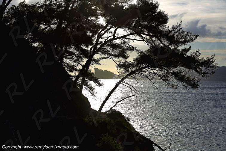 La Madrague Port d'Alon Calanque Var Provence Alpes C�te d'Azur PACA France www.remylacroixphoto.com