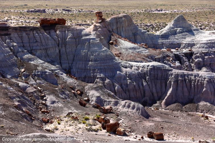 Blue Mesa Petrified Forest National Park Arizona USA