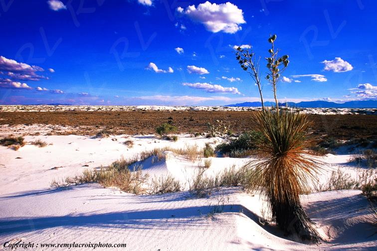 White Sands National Monument New-Mexico USA www.remylacroixphoto.com