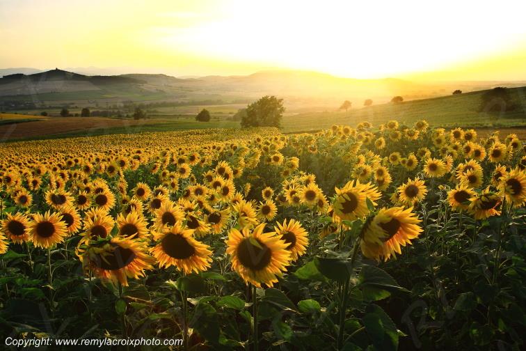 Montaigut Puy de D�me Auvergne Rh�ne-Alpes France www.remylacroixphoto.com