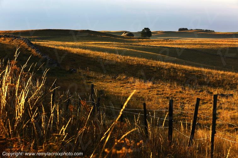 Aubrac Aveyron Occitanie France www.remylacroixphoto.com