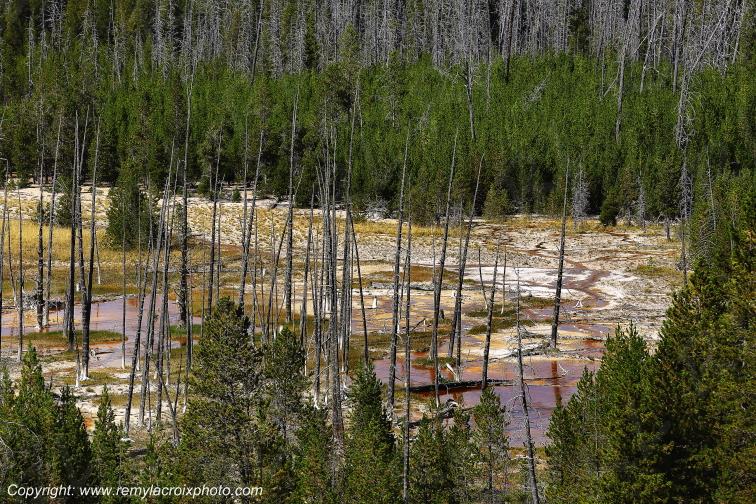 Artist's Paint Pots Yellowstone National Park Wyoming USA www.remylacroixphoto.com