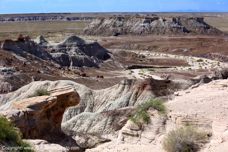 Blue Mesa Petrified Forest National Park Arizona USA