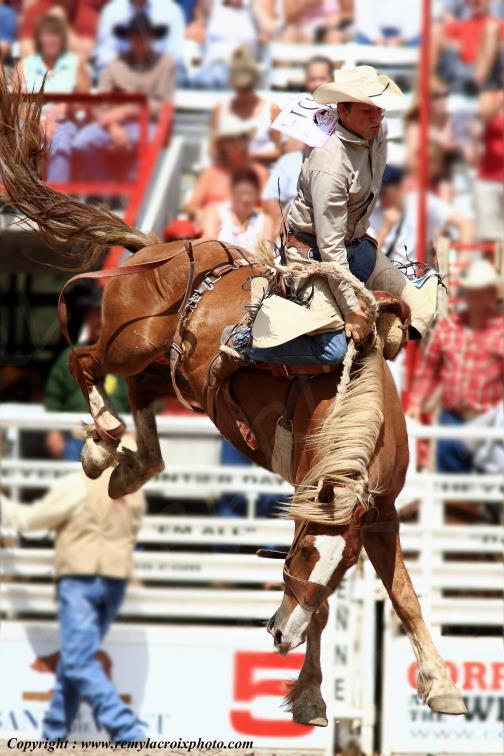 Rodeo Cheyenne Frontier Days Wyoming USA www.remylacroixphoto.com