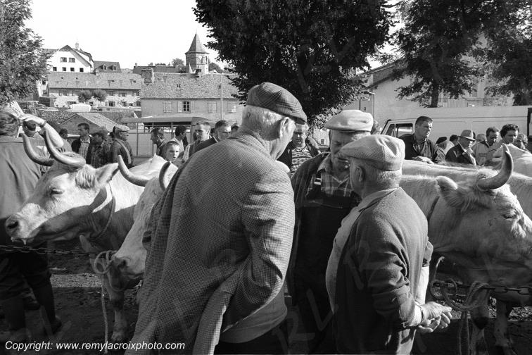 Foire aux bestiaux de Nasbinals,Aubrac,Loz�re,France