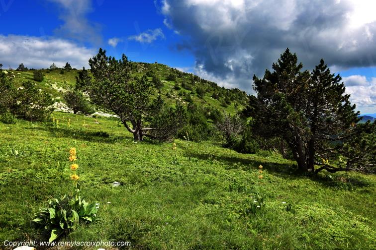 Mont Mezenc Ard�che Rh�ne Alpes France