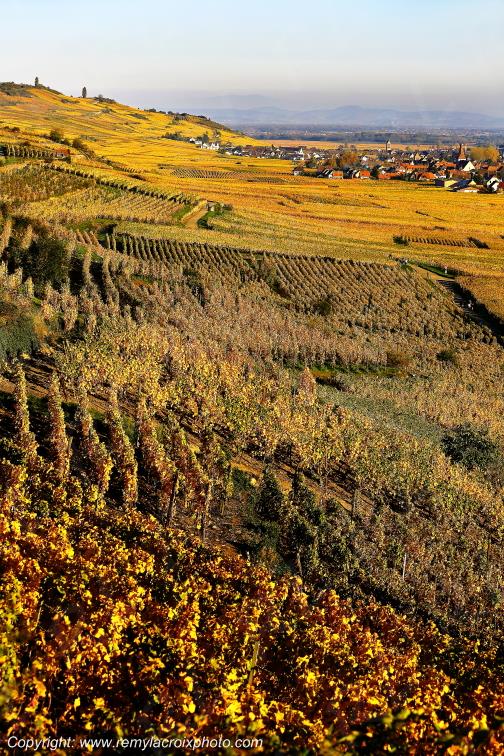 Kaysersberg vignoble Haut-Rhin Alsace France www.remylacroixphoto.com