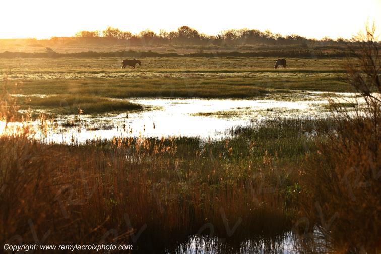 Fouras Aix Ile Rade Marais Charente Maritime Poitou Charentes Nouvelle Aquitaine France www.remylacroixphoto.com