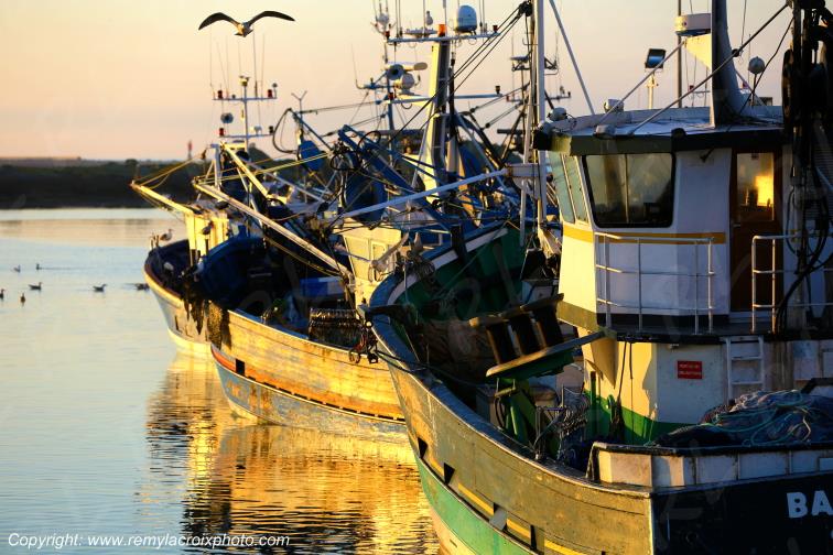 Port de St Gu�nol� Finist�re Bretagne France www.remylacroixphoto.com