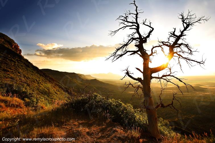 Mesa Verde National Park Colorado USA www.remylacroixphoto.com