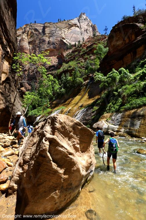 Zion National Park Riverside Walk Utah USA