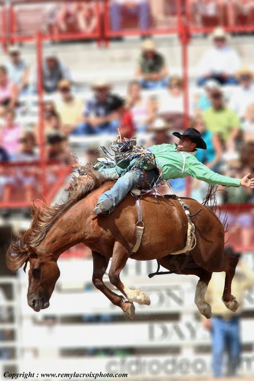 Rodeo Cheyenne Frontier Days Wyoming USA www.remylacroixphoto.com