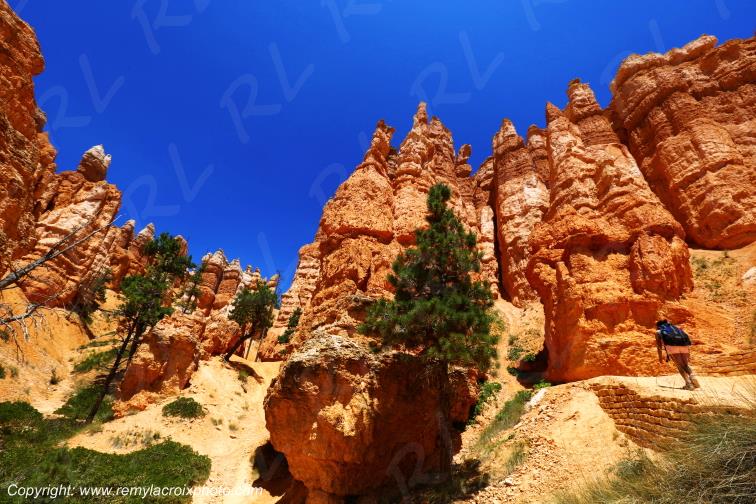 Queen Garden Trail Bryce Canyon National Park Utah USA
