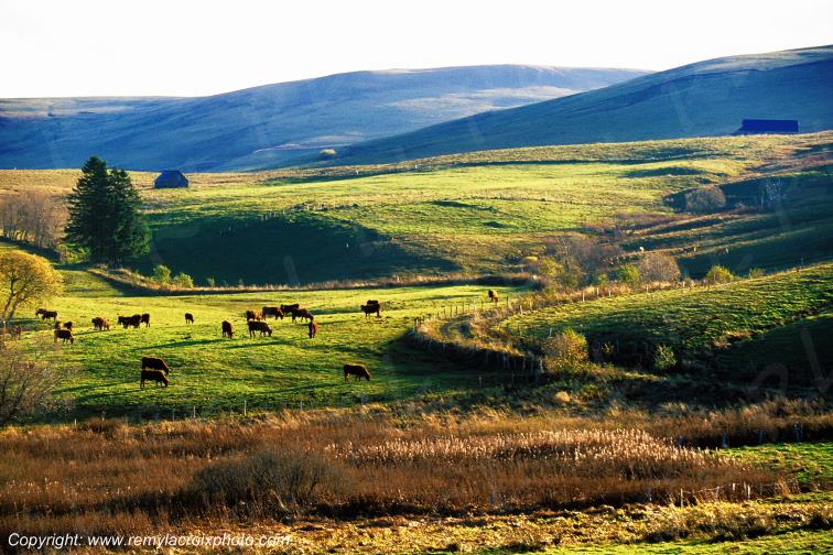 C�zallier le Saillant Cantal Auvergne Rh�ne-Alpes France