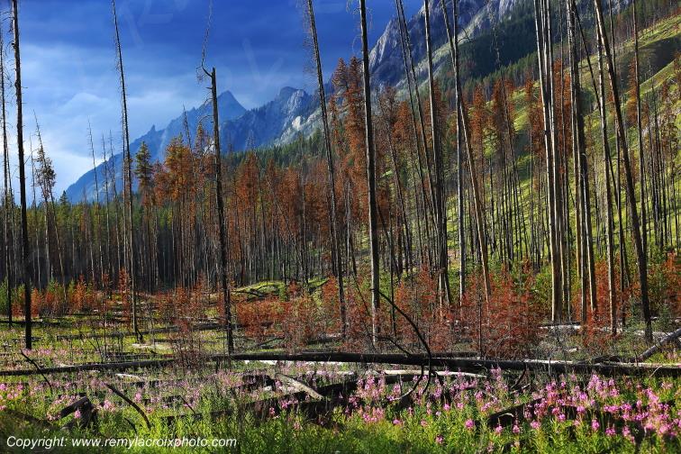 Bow Valley Road Banff National Park Alberta Canada www.remylacroixphoto.com