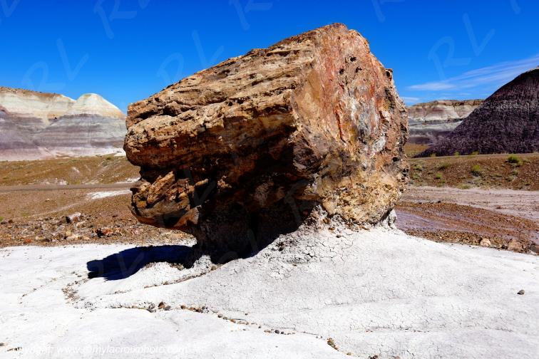 Petrified Forest National Park Blue Mesa Arizona USA www.remylacroixphoto.com