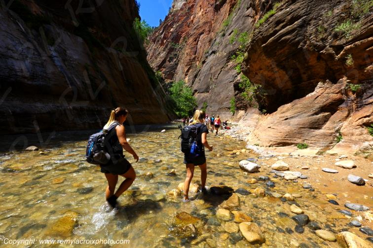 Riverside Walk Zion National Park Utah USA