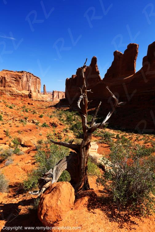 Park Avenue Arches National Park Utah USA
