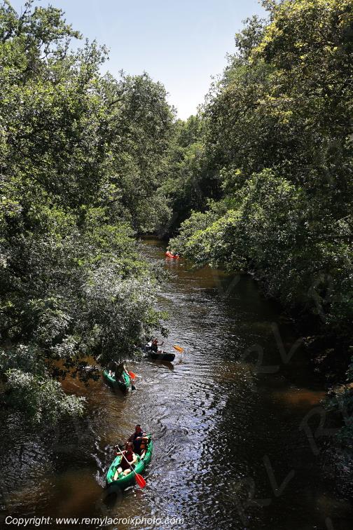 Eyre le Teich cano�s Gironde Aquitaine France www.remylacroixphoto.com
