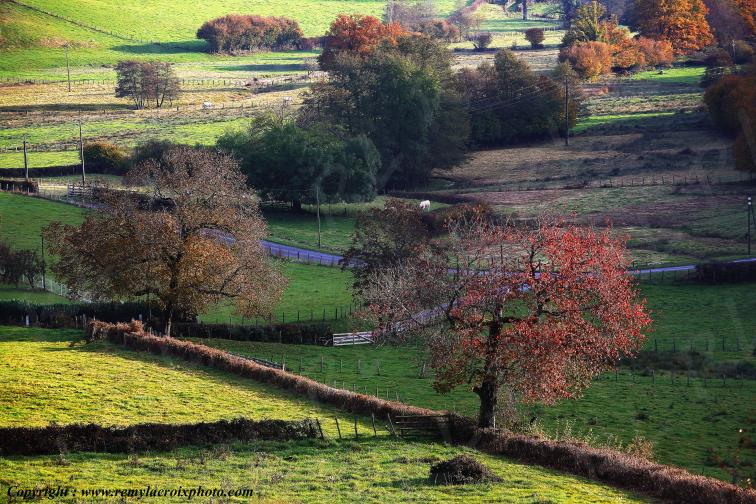 Saint Prix en Morvan Sa�ne et Loire Bourgogne Franche Comt� France www.remylacroixphoto.com