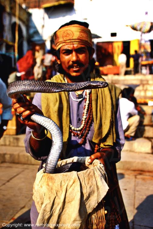 Varanasi B�nar�s cobra showman montreur Uttar PradeshI ndia Inde www.remylacroixphoto.com