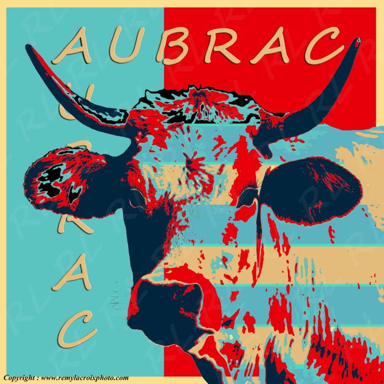 Belle de l'Aubrac cr�ation style pop-art vache Aubrac www.remylacroixphoto.com