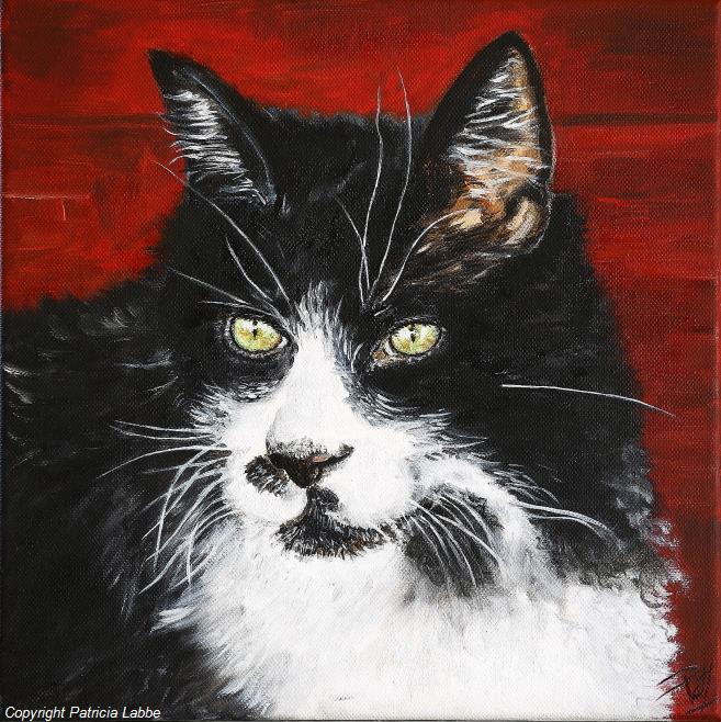 Chat noir & blanc fier - Huile sur toile - Format 30x30 cm