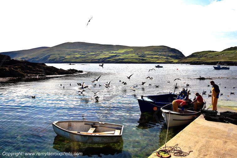 Beara Garnish Point Cork Irlande Ireland www.remylacroixphoto.com